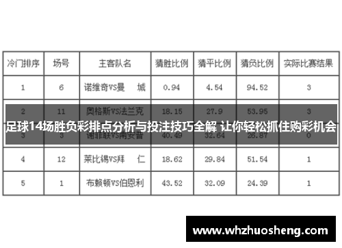 足球14场胜负彩排点分析与投注技巧全解 让你轻松抓住购彩机会